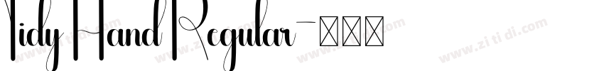 Tidy Hand Regular字体转换